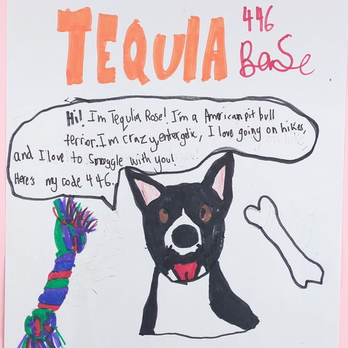 Tequila Rose — thumbnail 19