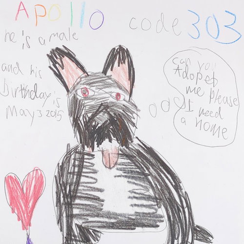 Apollo — thumbnail 28