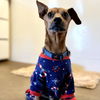 adoptable Dog in kanab, UT named Mort