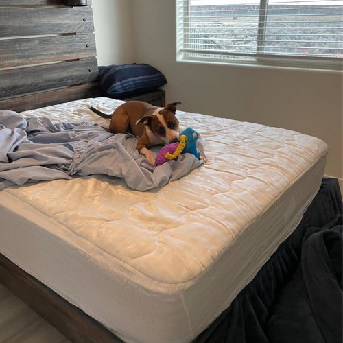 Maisy — thumbnail 13