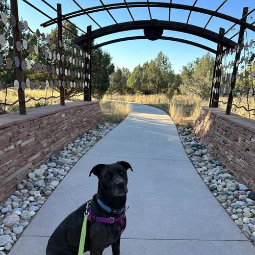 Mindy — thumbnail 30