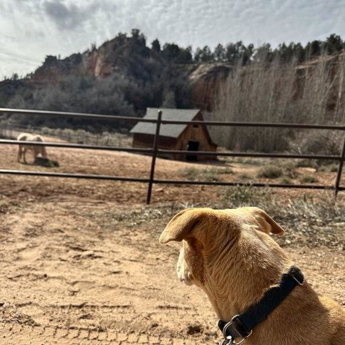 Bodie — thumbnail 21