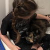 adoptable Cat in  named Ciera
