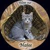 Najee