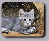 Najee