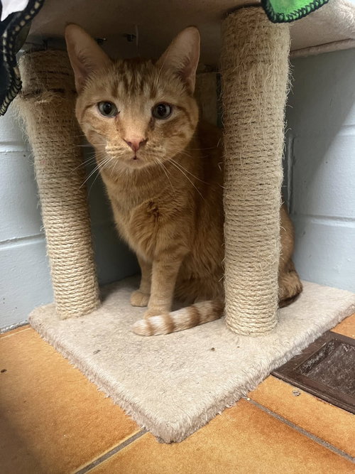 Photo 4 of Milo