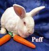 Puff