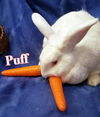 Puff