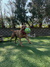 BB - Photo 3