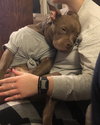 BB - Photo 10