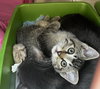 Tofu & Emily - Photo 10