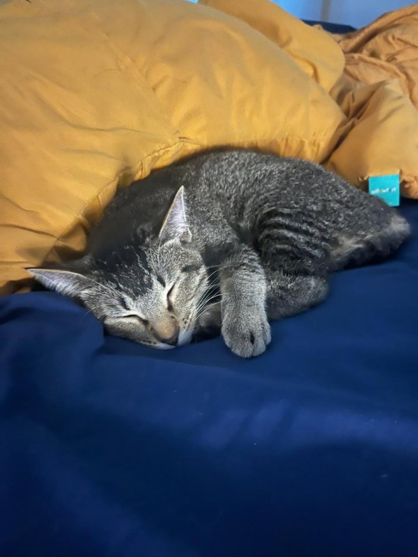 Tofu & Emily
