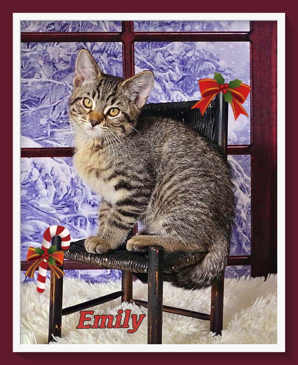 Emily