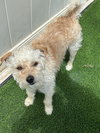 Ricky - Photo 1