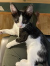 Minni - Photo 6