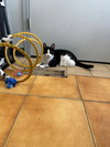 Minni - Photo 5