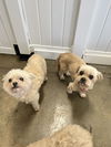 Sophie & Ashlynn