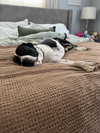 Homer - Photo 2