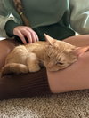 Paprika & Cayenne - Photo 4