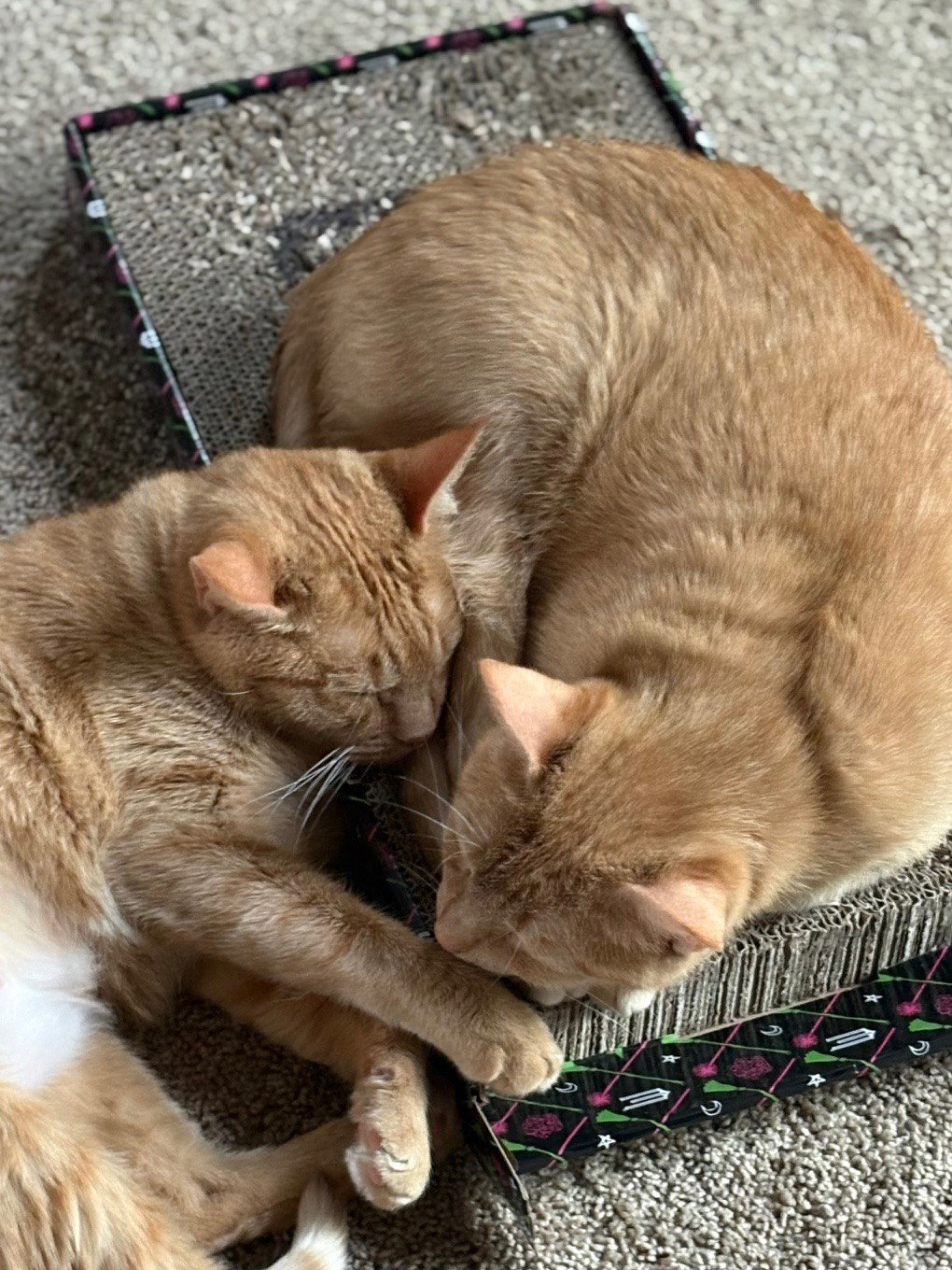 Paprika & Cayenne