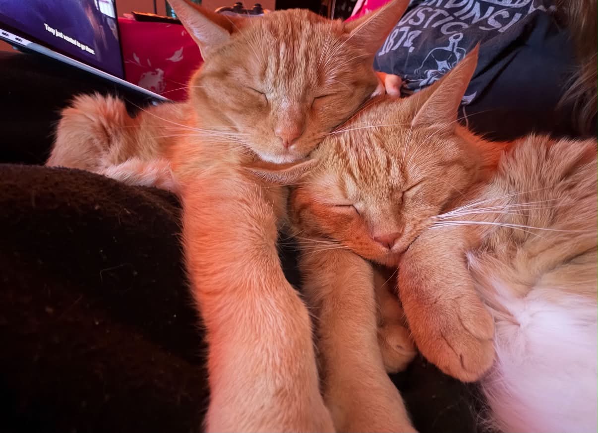 Paprika & Cayenne, photo 2