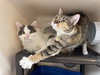 Mona & Lulu - Photo 1