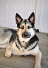 Tony - Photo 1