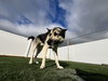 Tony - Photo 3