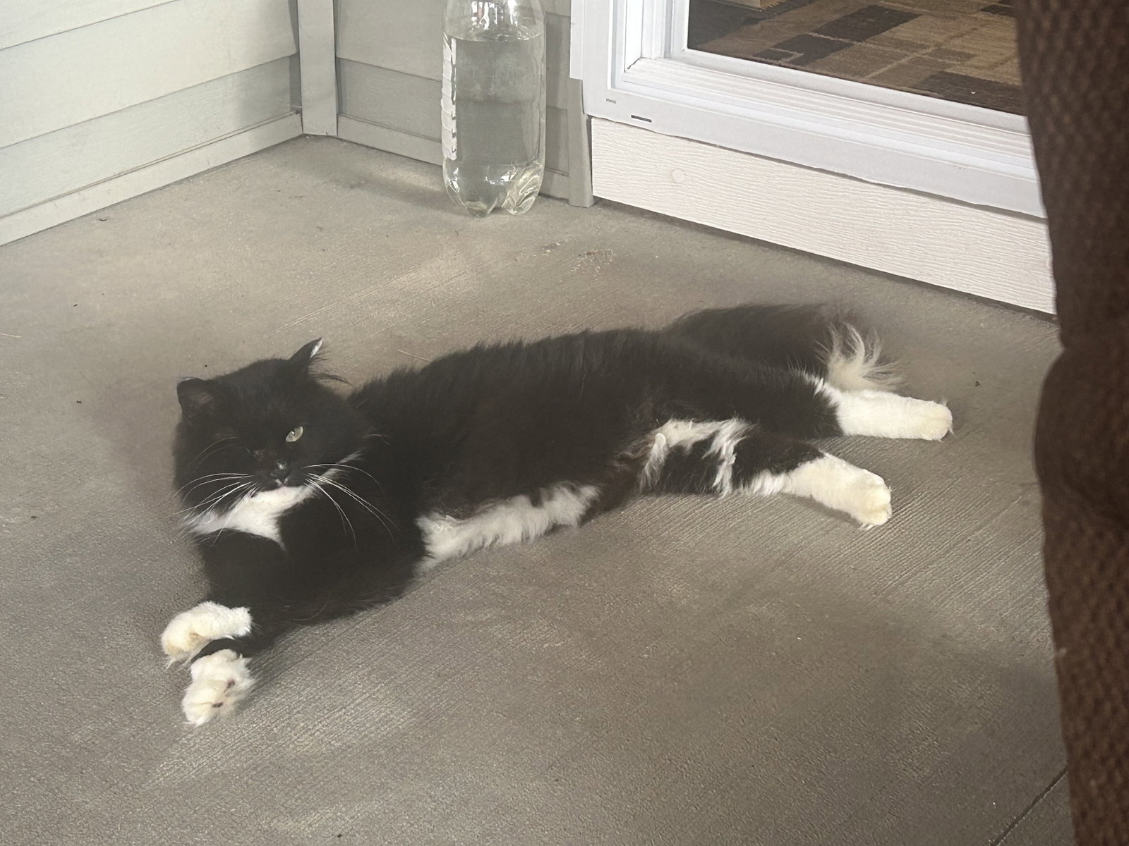 Martha Wayne, photo 4