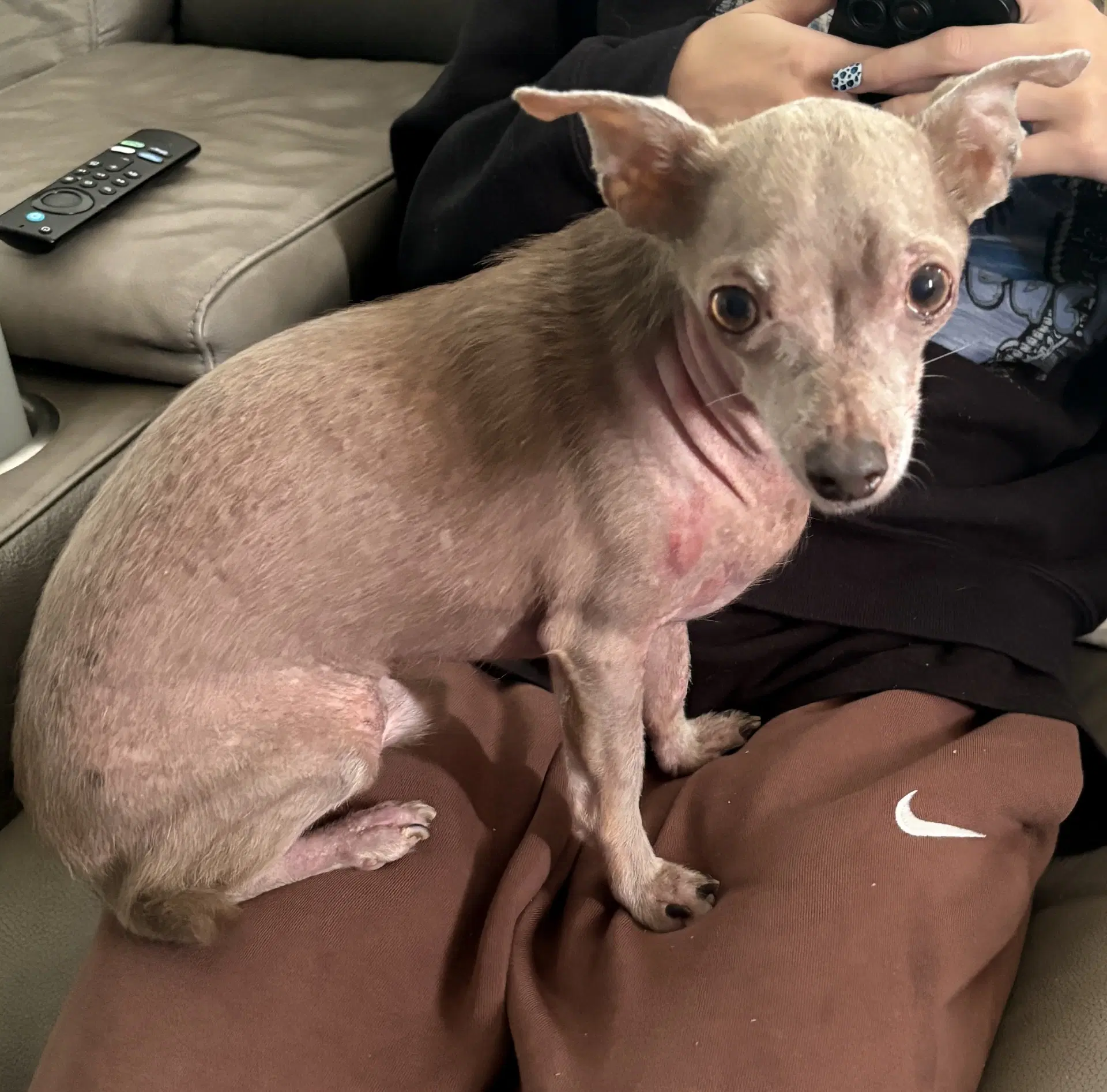 Gus image 2