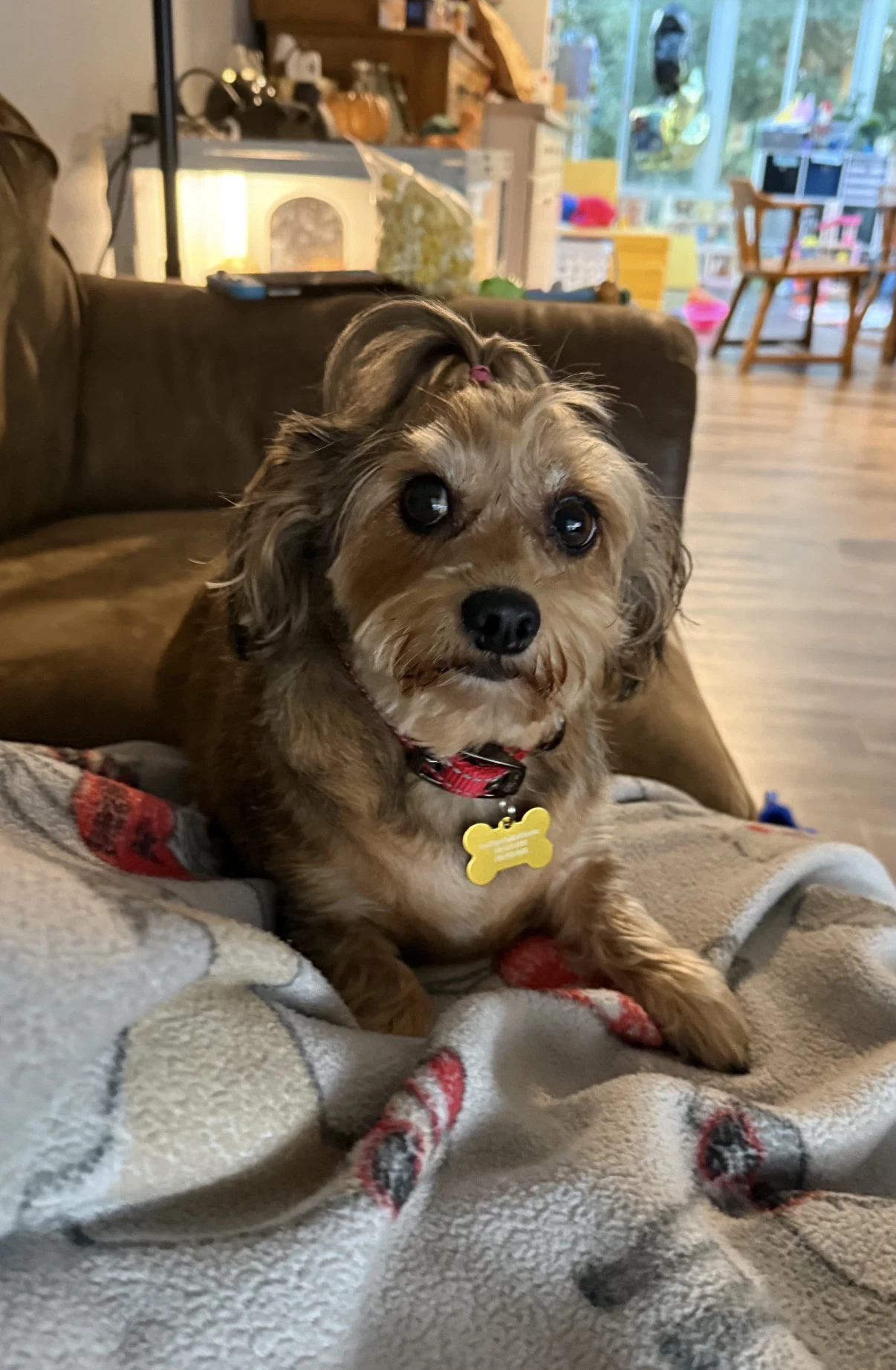 Penny