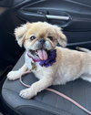 Kaylee - Photo 1