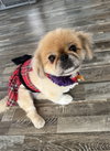 Kaylee - Photo 2