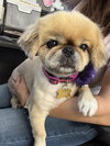 Kaylee - Photo 3