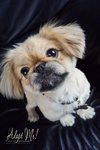 Kaylee - Photo 5