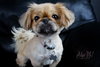 Kaylee - Photo 6