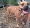Rocky - Photo 3