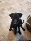 Jazzy - Photo 2