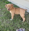 Tex - Photo 5