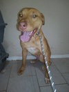 Tex - Photo 1