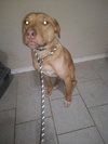 Tex - Photo 2