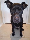 Andy - Photo 3