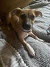 Evie - Photo 2