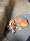 Charlie - Photo 3