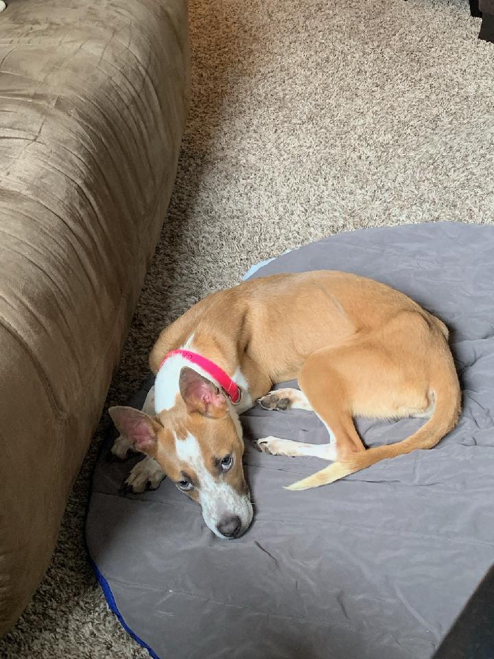 Charlie