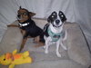 Peter and Micah - Photo 1