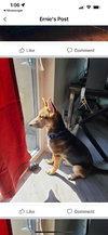 Ellie aka Eddy - Photo 3