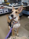 Ellie aka Eddy - Photo 1