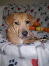 Lilly - Photo 1