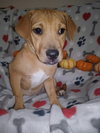 Lilly - Photo 2